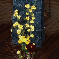 中村佳代―作品