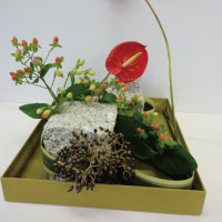 小野寺香織作品