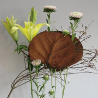 山田由美子作品