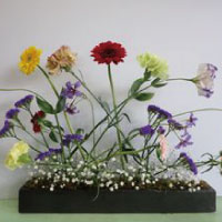 石谷美由樹作品