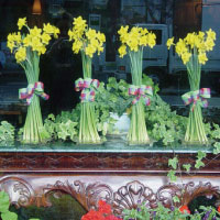 教室ウィンドウディスプレイ（春）