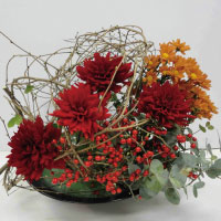 坂本真奈美作品